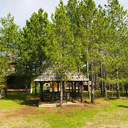 Family 2 Appartamento